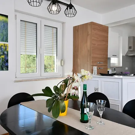 Apartment Novotny Banjol